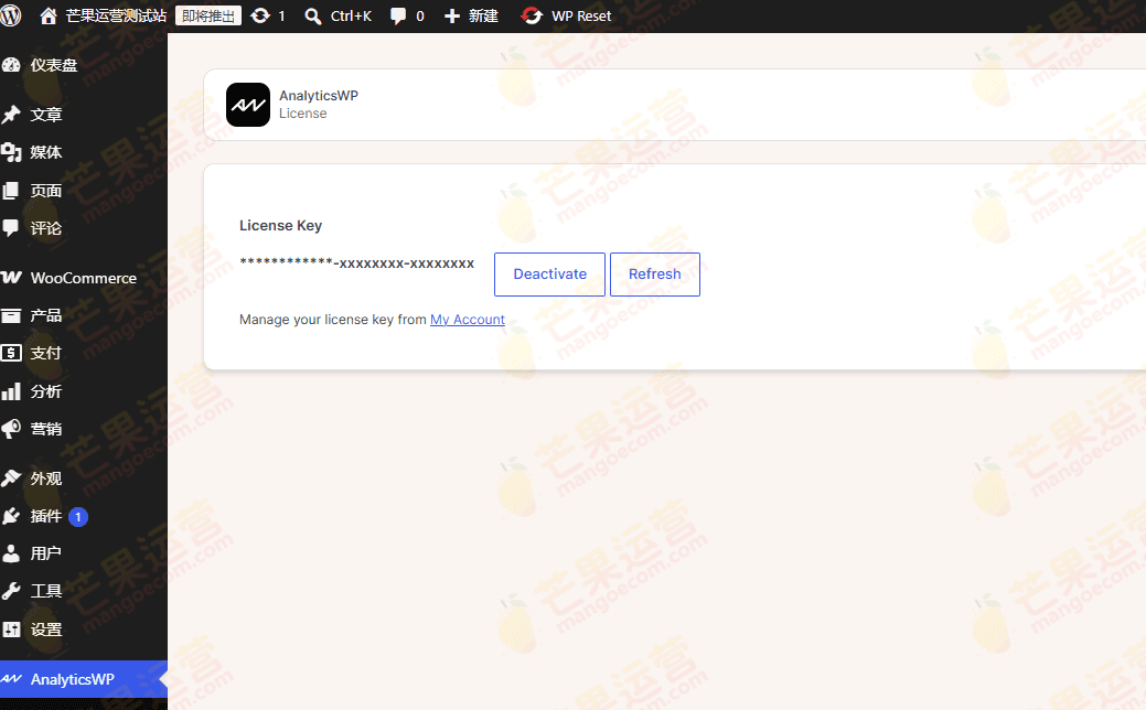 AnalyticsWPWordPress 数据监控分析插件破解版下载