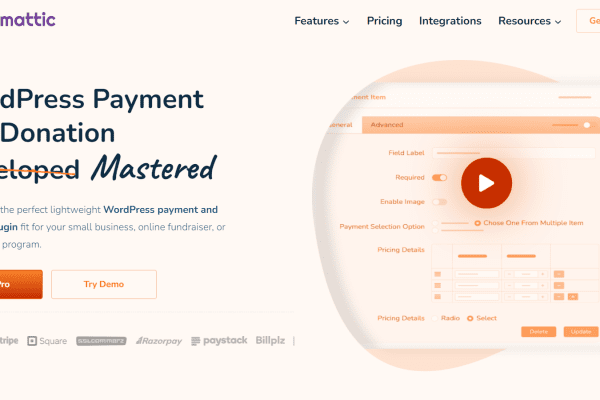 Paymattic Pro v4.6.25 WordPress 付款和捐赠插件下载