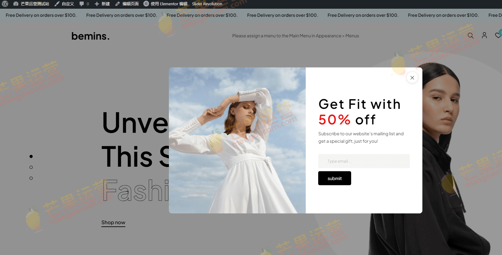 Bemins 时尚珠宝、家具店主题破解版下载
