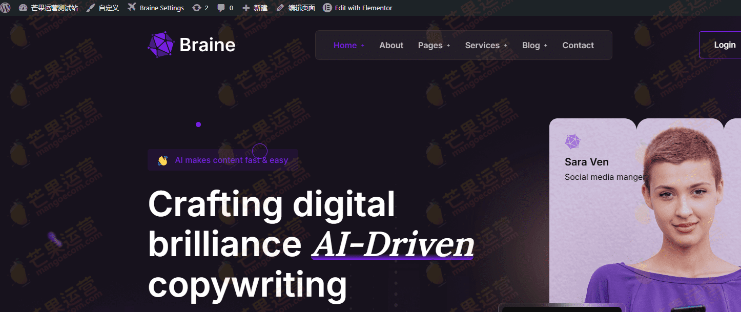 Braine 数字人工智能 WordPress 主题下载