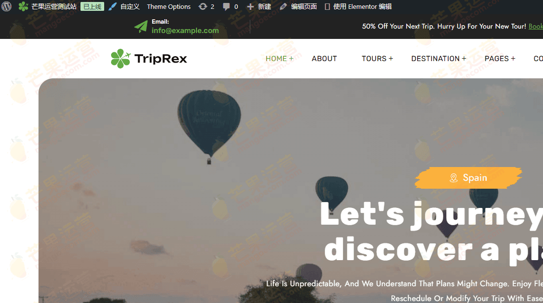 TripRex主题破解版下载