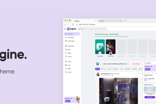 Xngine v1.6 终极的sngine主题源码下载