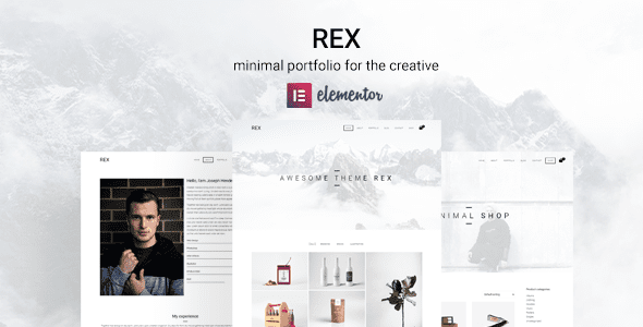 Rex v4.0.1 最小WordPress投资组合主题下载