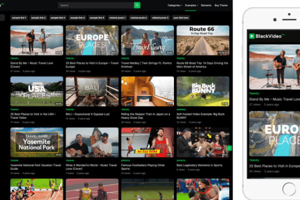 BlackVideo Pro v1.0.4 WordPress视频主题下载