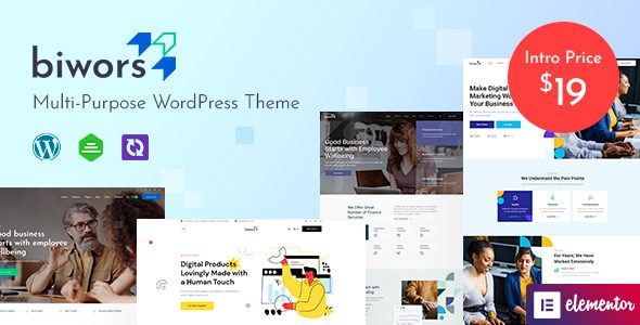BIWORS v1.0-现代和多功能WordPress主题下载