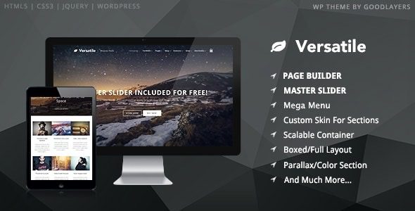 Versatile v1.5.0 响应迅速的多功能WP主题下载