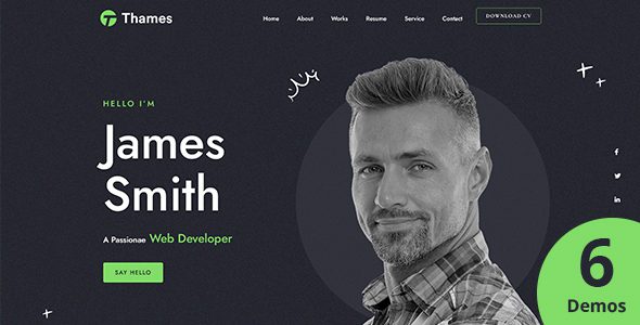 Thames V1.0-个人展示组合WordPress主题