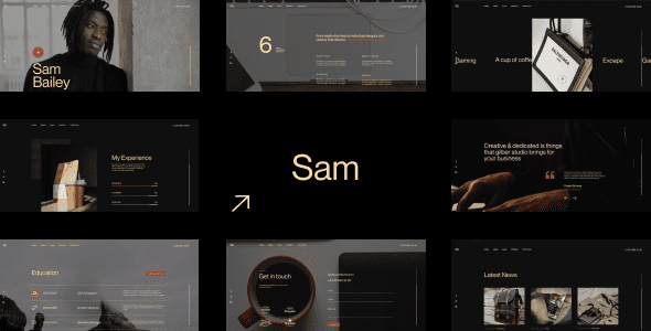 Sam Bailey v1.1.0 个人简历/简历WordPress主题下载