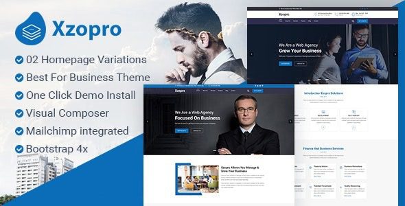 Xzopro v1.1.8 财务和商业WordPress主题下载