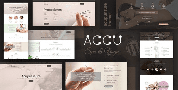Accu v3.7 医疗保健、按摩 WordPress 主题下载