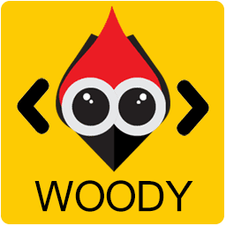 Woody Code Snippets Premium v1.2.0 [Activated] wordpress代码片段插件下载