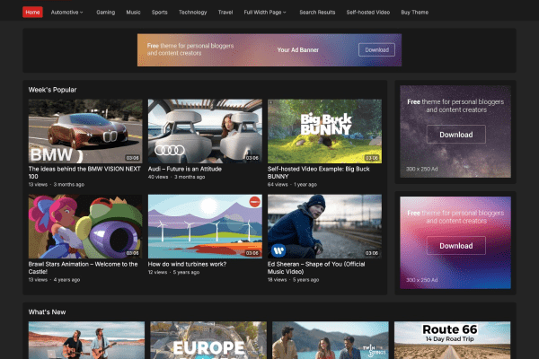 YouVideo Pro v1.0.1 WPEnjoy 主题下载