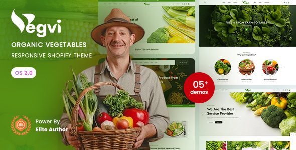 Vegvi 1.0 – 有机蔬菜响应式 Shopify 2.0 主题下载