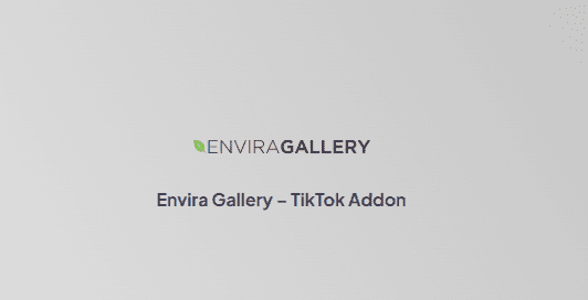 Envira Gallery – TikTok Addon 1.0.1 拓展插件下载