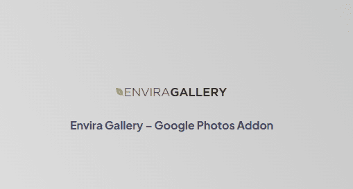 Envira Gallery – Google Photos Addon 1.0.1 拓展插件下载