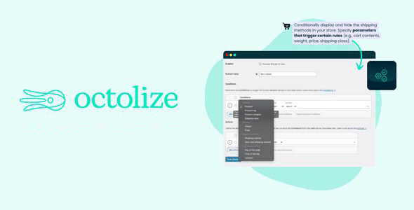 Conditional Shipping Methods Plugin for WooCommerce 1.5.13 WooCommerce 条件式配送方式插件下载