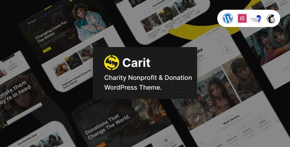 Carit v1.0.0 慈善与捐赠 WordPress 主题下载