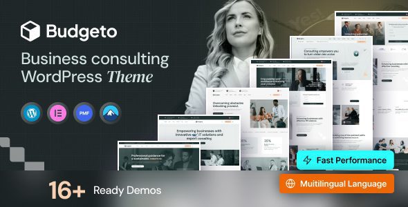 Budgeto v1.0.7 – 商务咨询 WordPress 主题下载