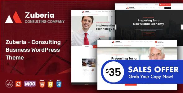 Zuberia 2.2 – 商业咨询服务 WordPress 主题下载
