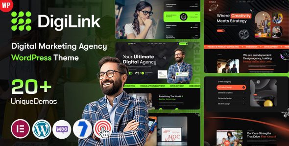 Digilink v3.0 – 数字代理机构 WordPress 主题下载