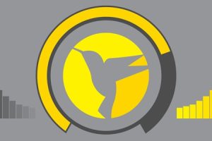 WPMU DEV Hummingbird Pro v.3.3.4 |WordPress网站速度优化插件下载