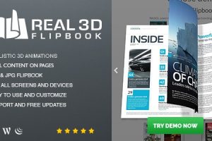 Real3D FlipBook GPL v.3.36 +所有拓展包| 3D动画书制作WordPress插件下载