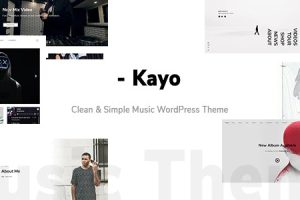 Kayo – Clean and Simple Music WordPress Theme v1.4.0 | 简约音乐艺术唱片行业WordPress主题下载