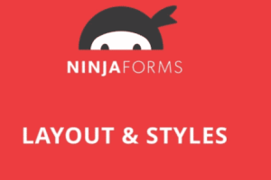 Ninja Forms Layout and Styles 3.0.30 | 表格样式修改插件下载