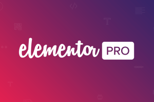 MemberPress – Elementor Content Protection 1.0.7 拓展插件下载