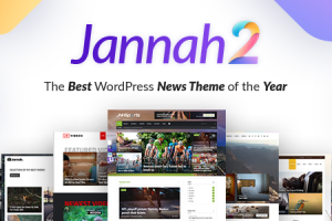 Jannah Newspaper v.5.4.10 -杂志新闻 BuddyPress AMP WordPress主题下载