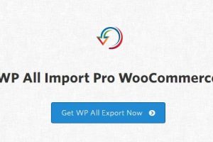 WP All Import Pro 4.7.6 + 5个附加组件[Soflyy] WordPress批量导入导出插件下载