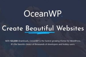 【精品】OceanWP Pro v3.3.3 (Ocean Extra v2.0.2 + 所有拓展插件) 下载