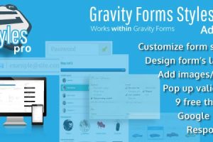 Gravity Forms Styles Pro v.3.1.1 插件下载