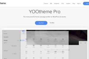 YOOtheme Pro v4.4.5 & WidgetKit v3.1.27 插件破解版下载