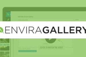 Envira Gallery: EXIF Addon v1.4.9.1 | WordPress画廊创建插件下载