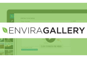 Envira Gallery v.1.5.4.1 WordPress图片下载插件