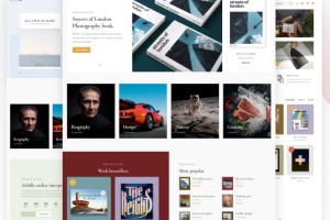 Juno v.2.12 – 书籍和杂志商店的高级主题下载