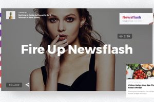 Newsflash v.1.8 – 新闻杂志wordpress主题下载