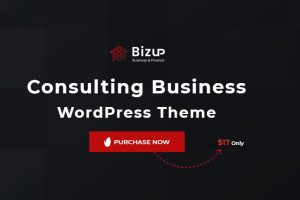 Bizup GPL v2.0.4 – 商务咨询WordPress主题下载