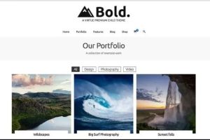 Kadence Virtue Bold Child Theme GPL v.1.0.2 主题下载