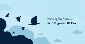 WP Migrate DB Pro v2.3.4 网站开发复制数据库插件下载