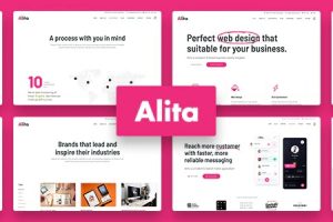 Alita v.1.0.6 – Web Studio WordPress 主题下载