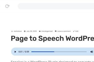 Speaker GPL v.3.3.9 – WordPress的网页内容转语音插件下载