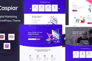 Caspiar v1.4 – 数字营销和代理 WordPress 主题下载