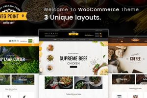 Veg Point WP v3.4.0 多功能WooCommerce主题下载