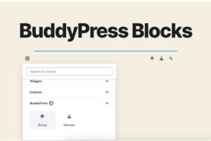 BuddyPress Block Users v.1.2.3 BuddyPress 屏蔽用户插件下载