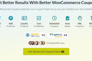 Advanced Coupons for WooCommerce Premium 4.0.2 高级优惠券插件下载