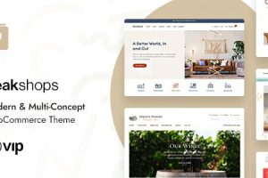 PeakShops v1.5.3 – 现代和多概念 WooCommerce 主题下载