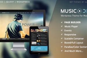 Music Club v.1.9.0 – 乐队派对 WordPress主题下载