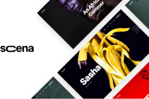 Scena Nulled v1.1.9 – 创意型 WordPress 作品集 Ajax 主题下载